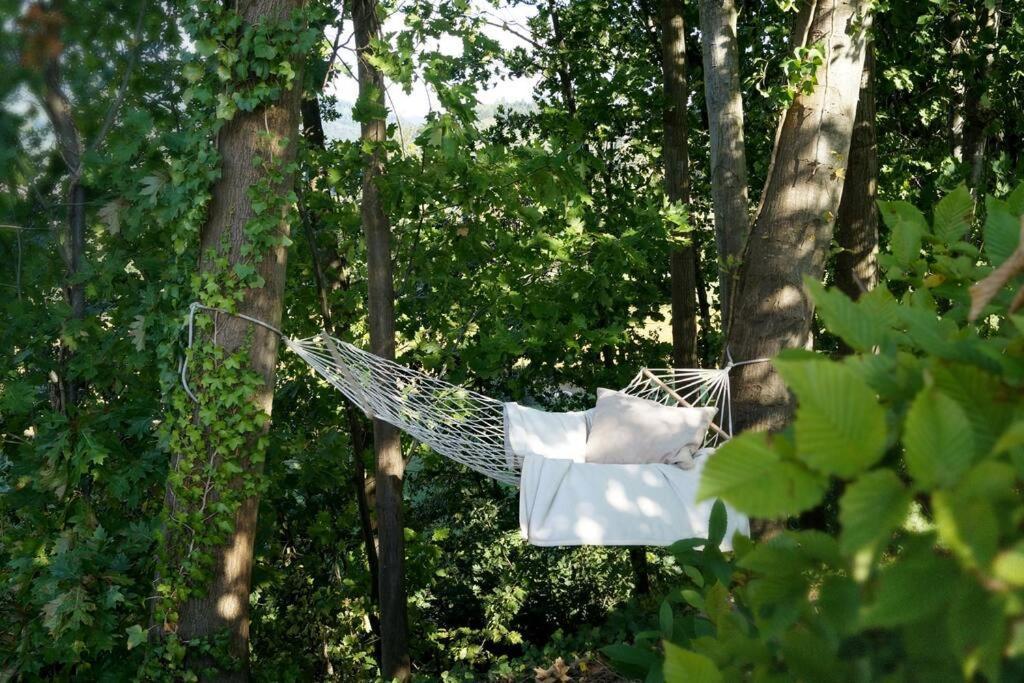 Wohnung Am Fusse Des Schwarzwalds Oberkirch  Eksteriør bilde
