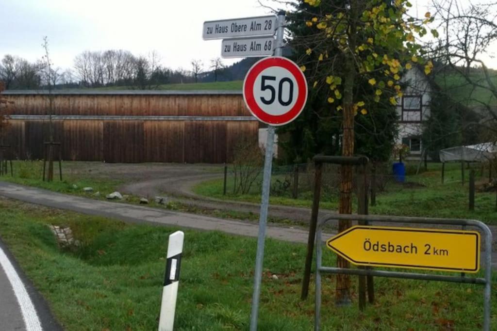 Wohnung Am Fusse Des Schwarzwalds Oberkirch  Eksteriør bilde