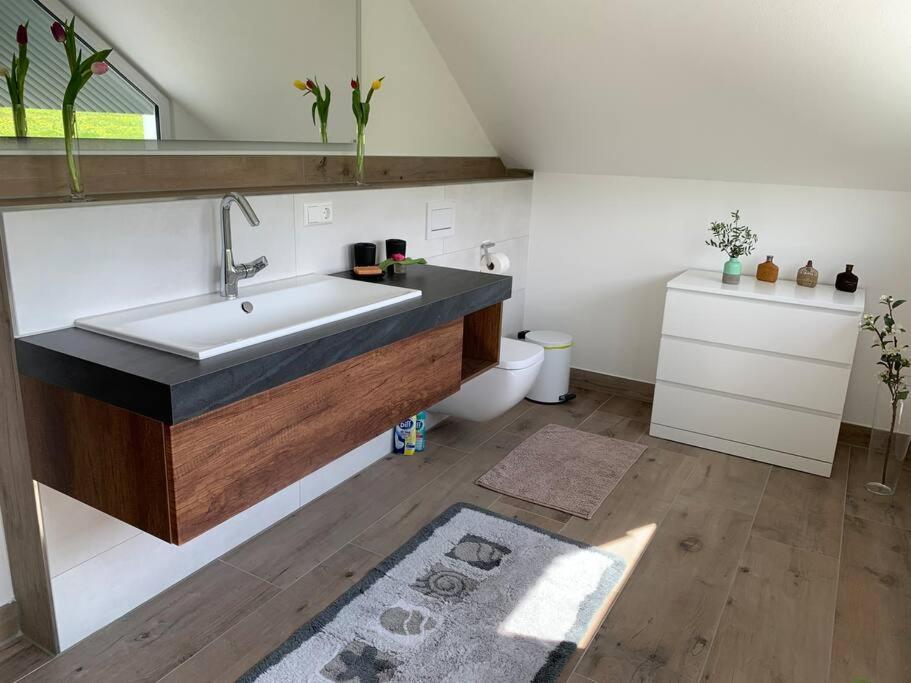 Wohnung Am Fusse Des Schwarzwalds Oberkirch  Eksteriør bilde